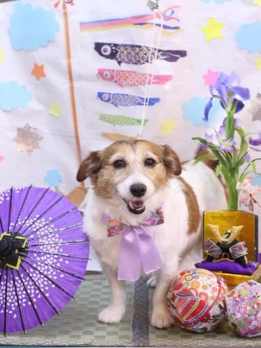 20240514こはるちゃん